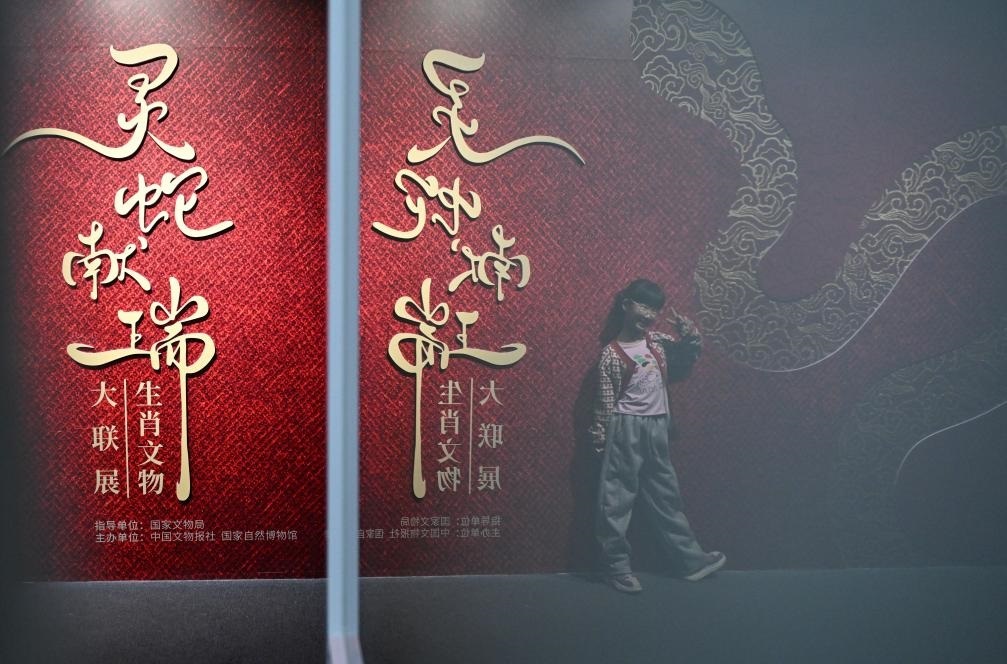 1月18日，一名小朋友在國家自然博物館舉辦的“靈蛇獻瑞——2025乙巳蛇年生肖文物大聯(lián)展”展覽中拍照留念。（新華社記者 陳鐘昊 攝）