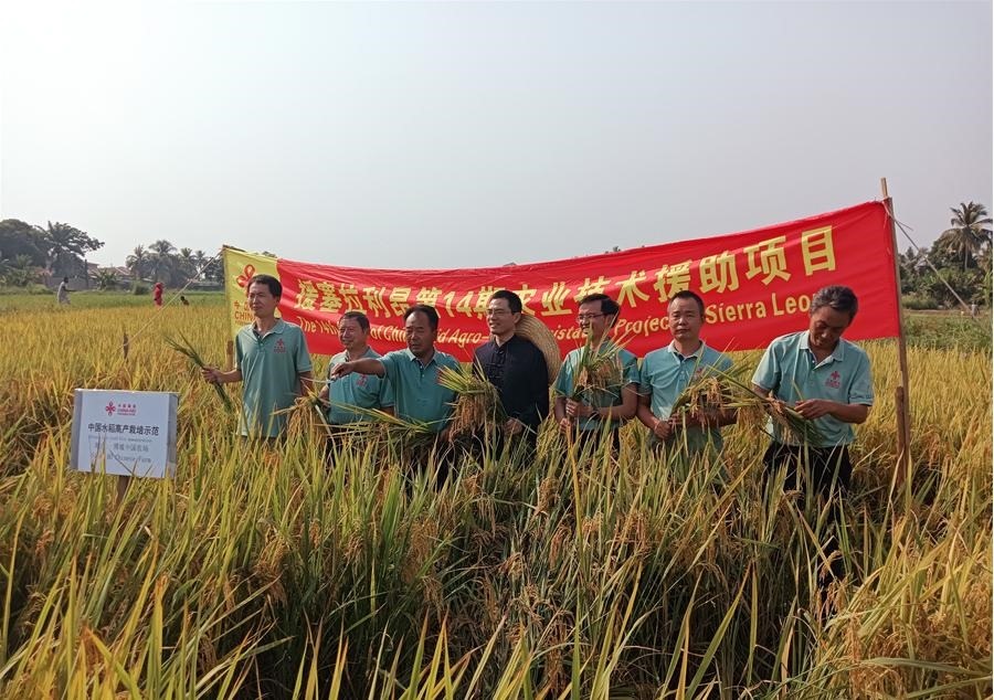 中國駐塞拉利昂大使王擎和援塞農(nóng)業(yè)專家組合影。中國援塞農(nóng)業(yè)專家組供圖