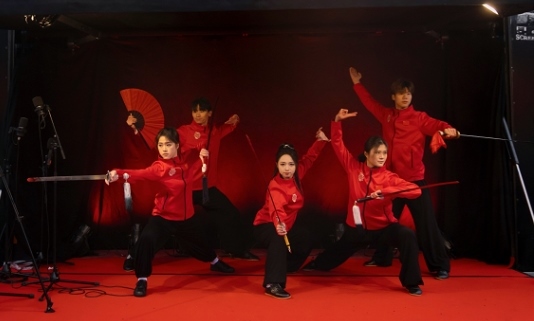 武術(shù)表演。中國駐芬蘭大使館供圖