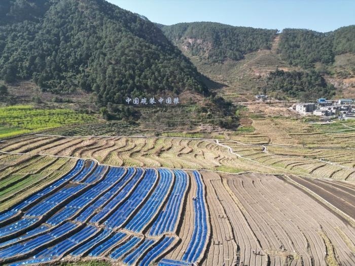 △近日，四川涼山一現(xiàn)代農(nóng)業(yè)園春耕育秧搶農(nóng)時(shí)。