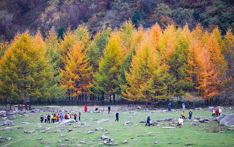 2023年10月27日，深秋時(shí)節(jié)的陜西秦嶺太子嶺五彩斑斕，進(jìn)入最佳觀賞期。