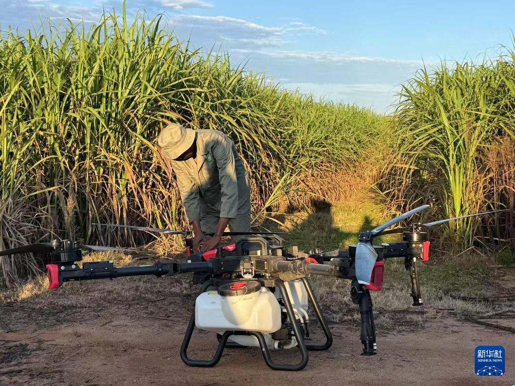 3月25日，在南非夸祖魯-納塔爾省的方廷希爾莊園，工作人員為無(wú)人機(jī)做起飛作業(yè)前的準(zhǔn)備。新華社記者 白舸 攝