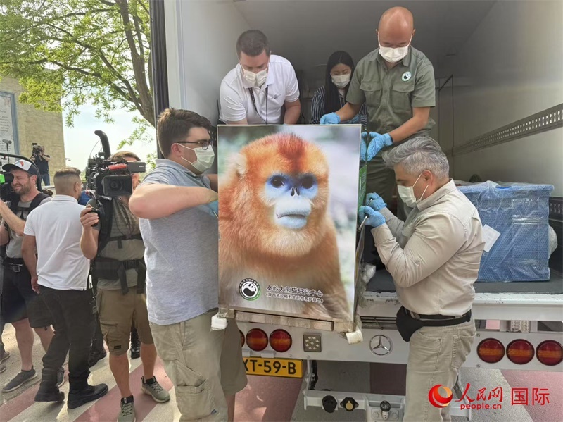 圖為活動(dòng)現(xiàn)場(chǎng)。人民網(wǎng)記者 牛瑞飛攝