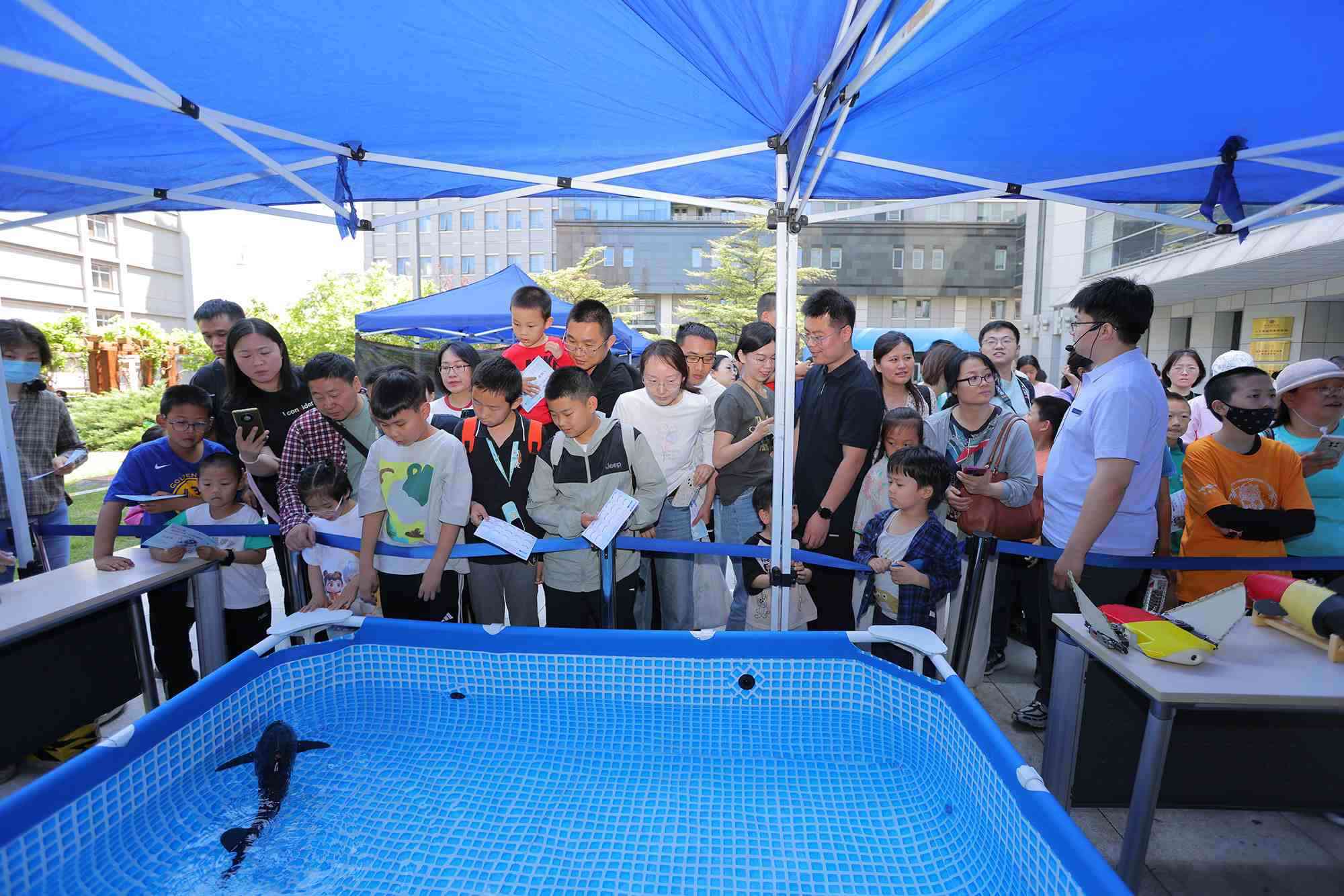 水下仿生機器魚在活動現(xiàn)場大受歡迎。中國科學院自動化研究所供圖