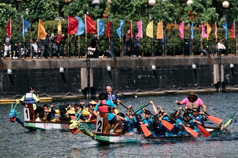 中英雙方的參賽隊(duì)伍參與龍舟競渡。楊浩鵬攝